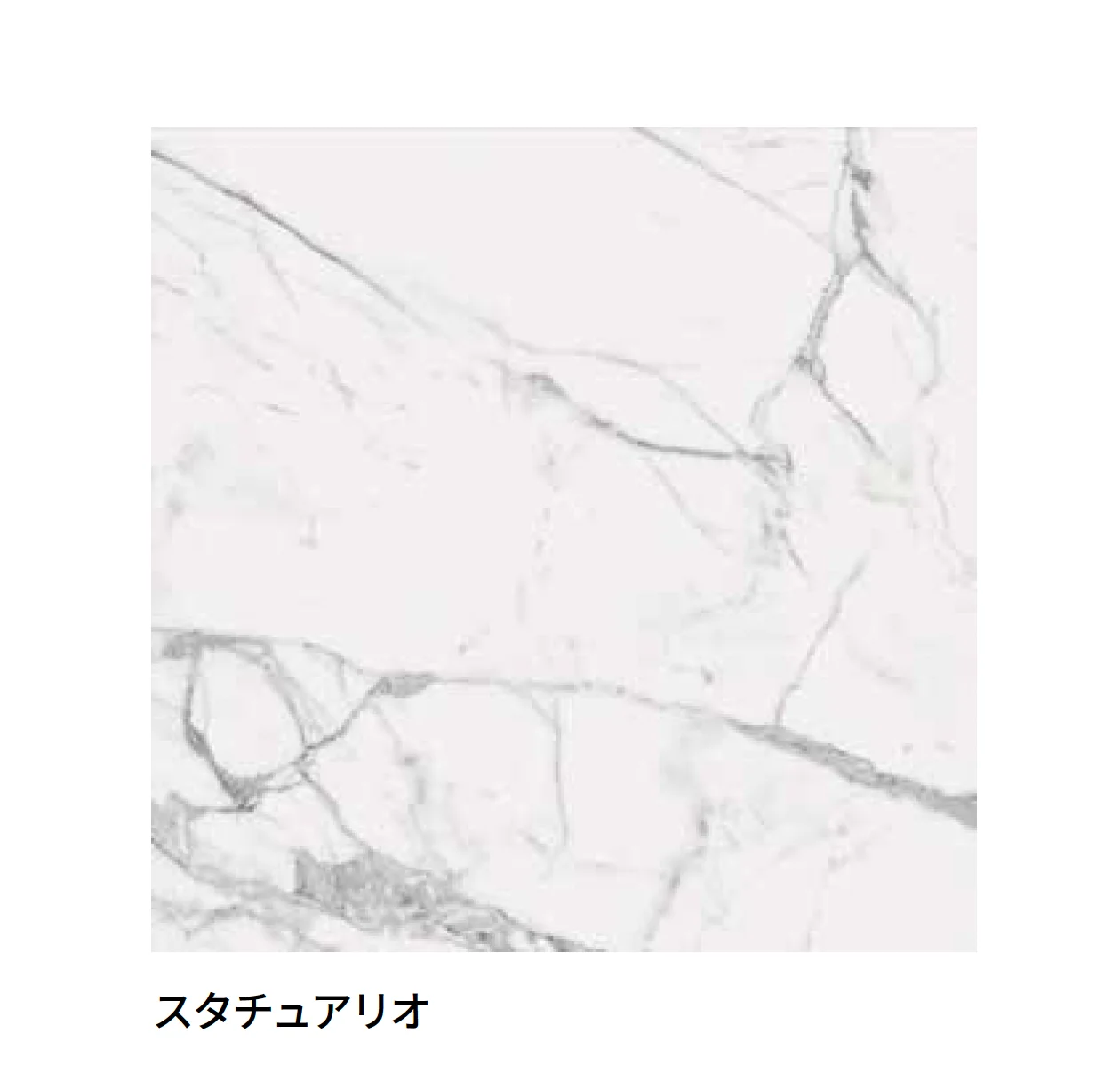 マラッツィ・ジャパンの「ファブラ」