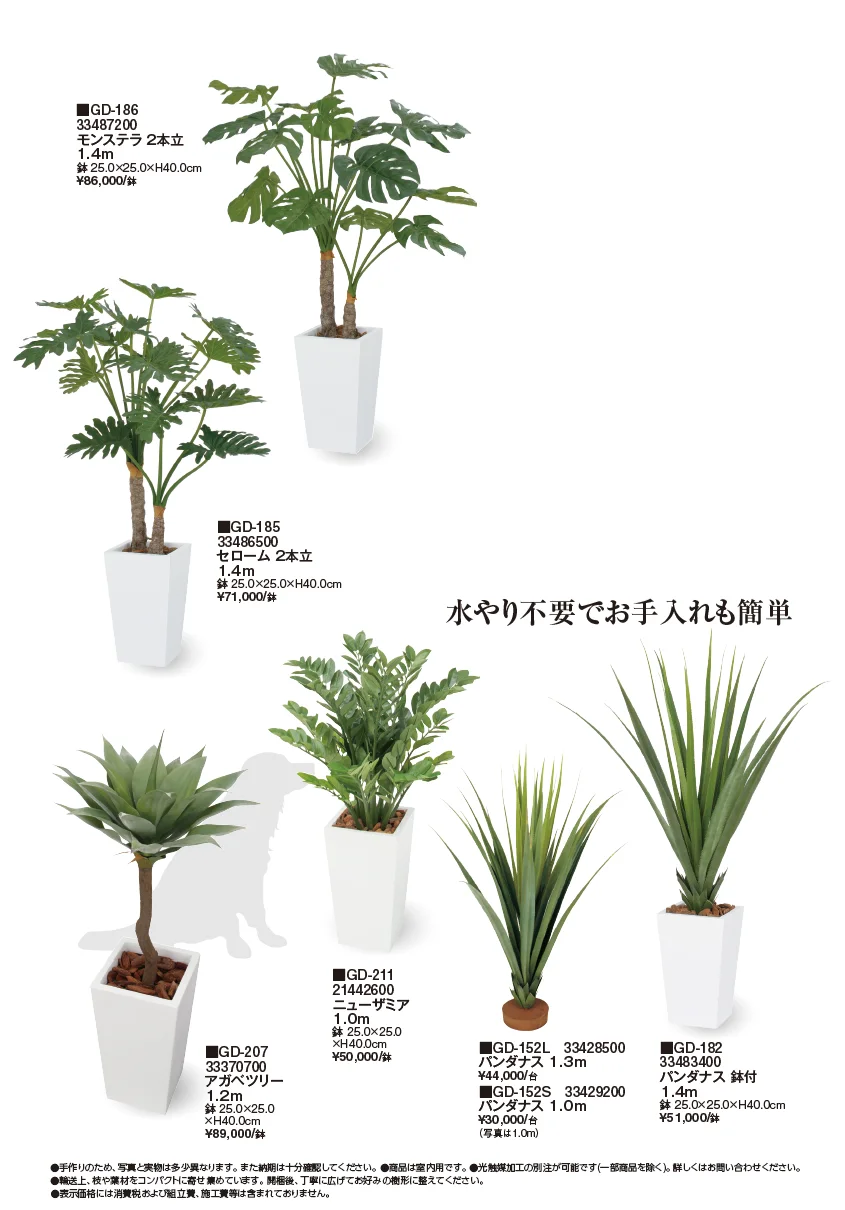 観葉植物【2024年版】_価格_2
