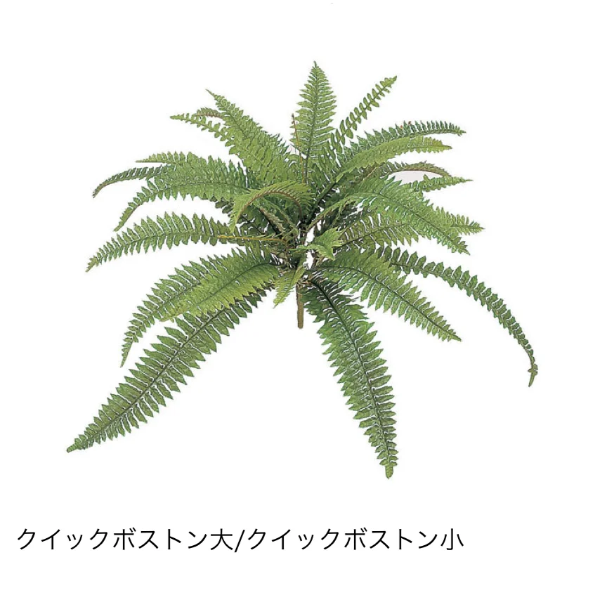 タカショーの「グランドカバー 下草」のサブ画像18