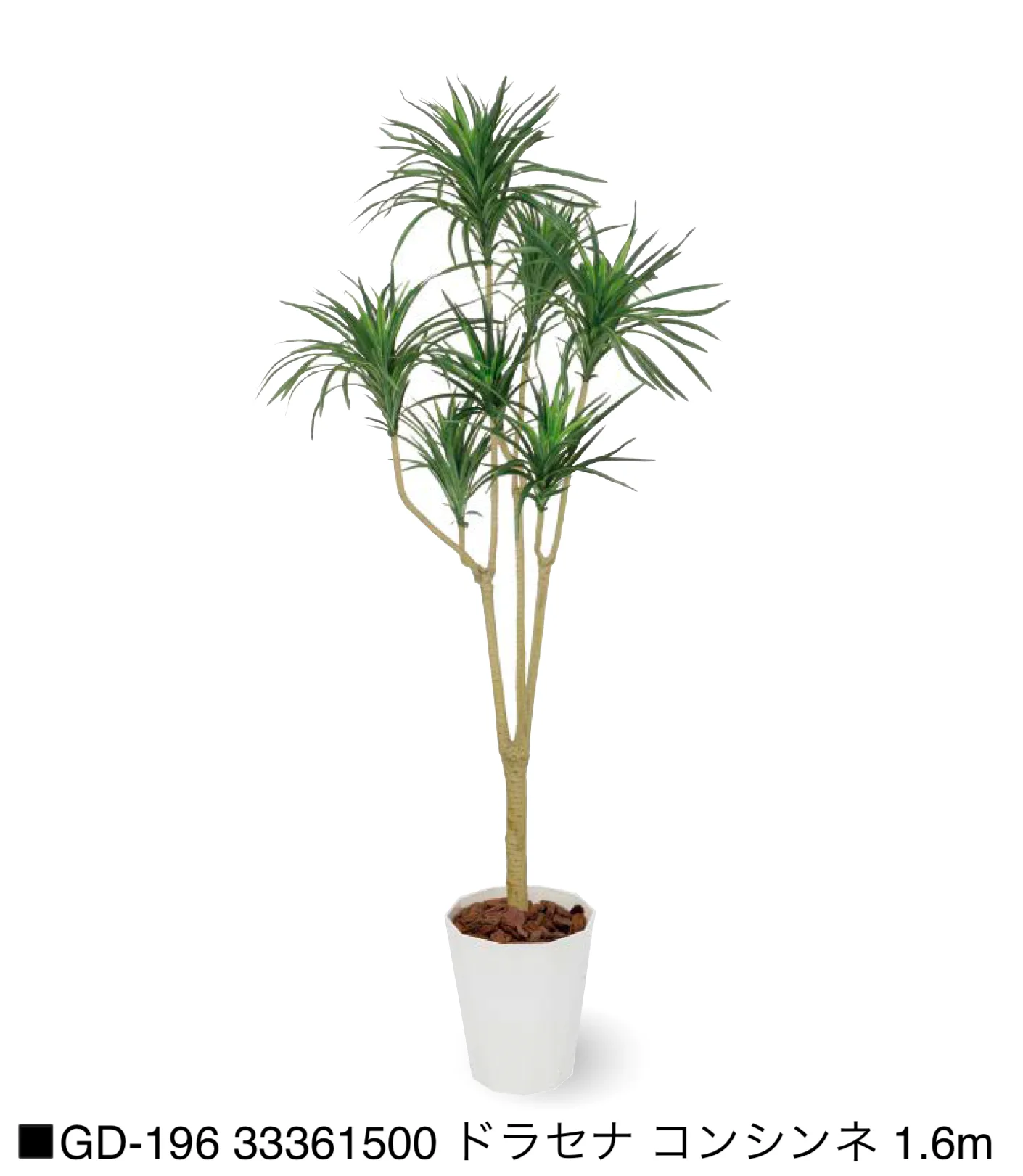 タカショーの「観葉植物【2025年版】」のサブ画像21