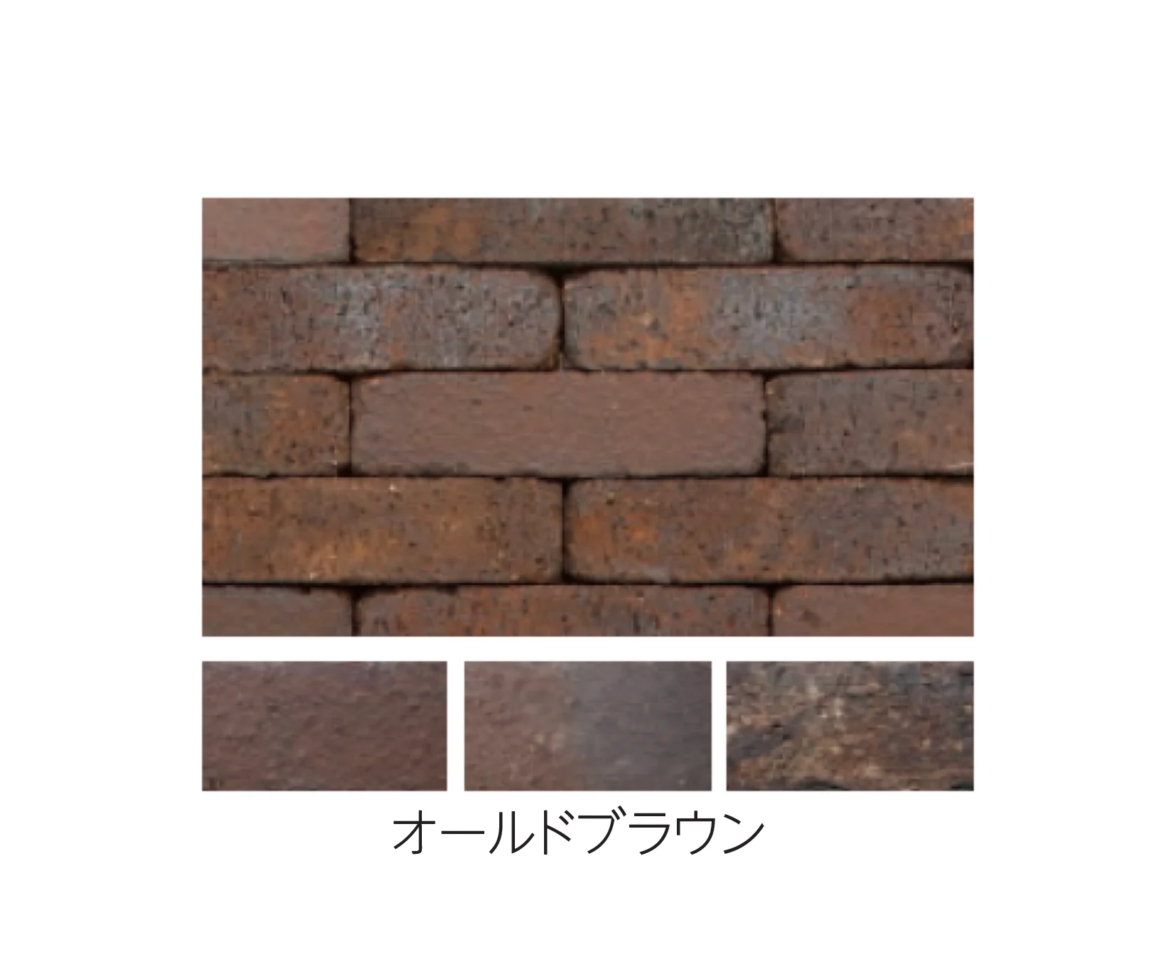 エスビックの「ベルク・ボーダー」のサブ画像3