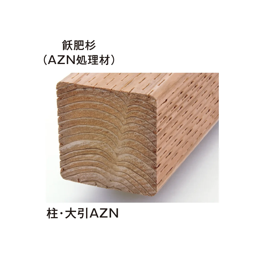 メイクランドの「飫肥杉(おびすぎ)」のサブ画像8