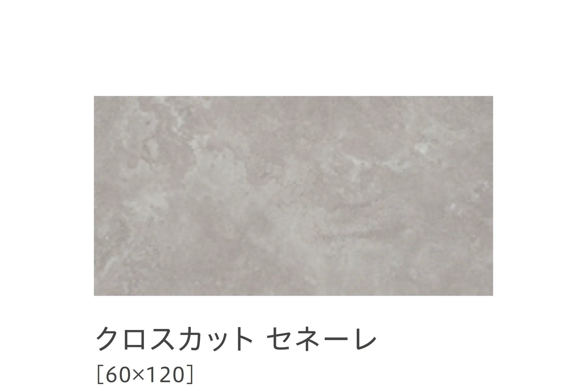 リビエラの「ドルセット」のサブ画像19