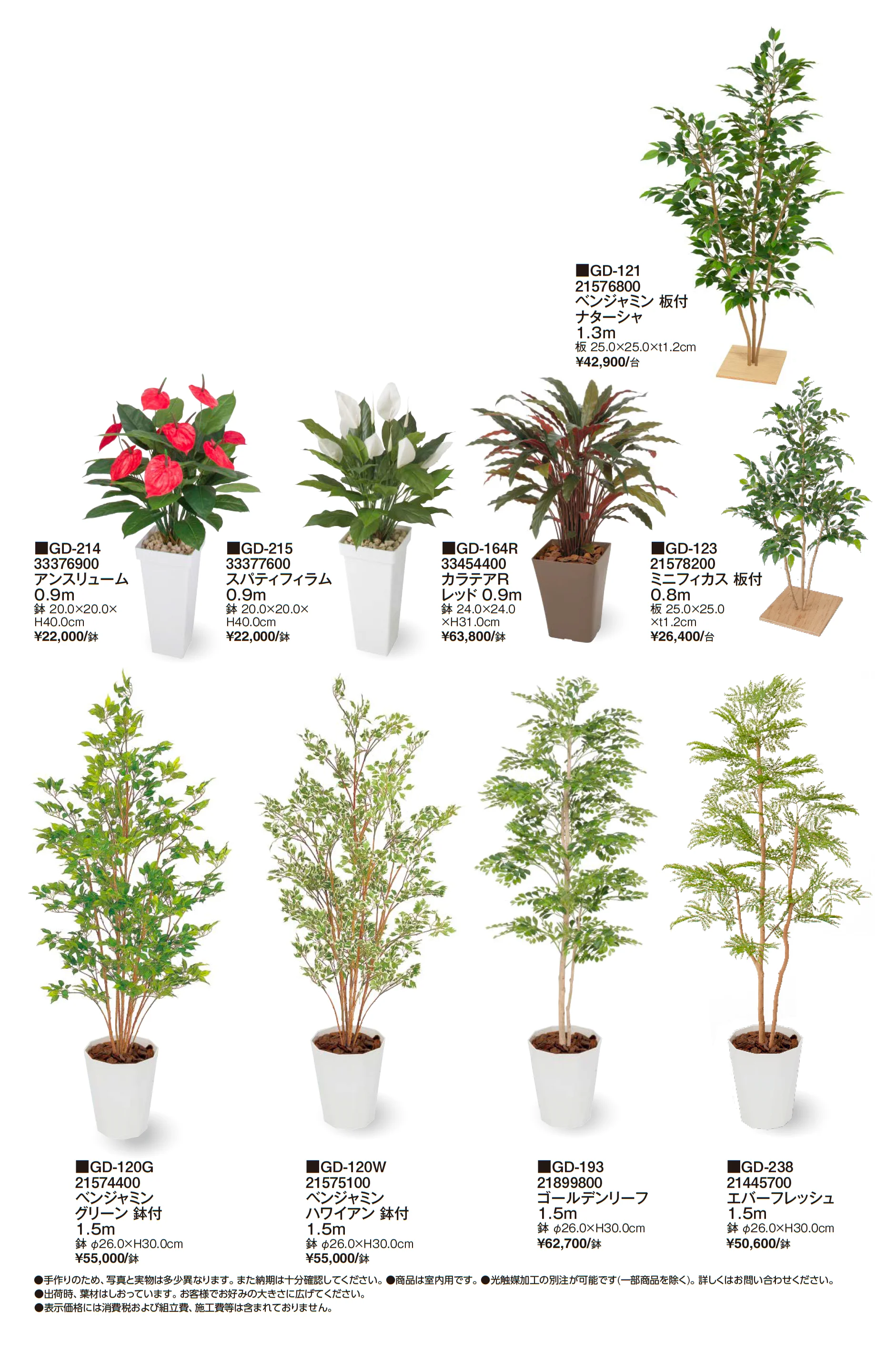 観葉植物_価格_4