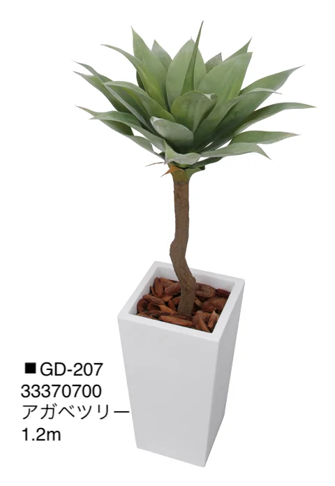 タカショーの「観葉植物【2024年版】」のサブ画像11