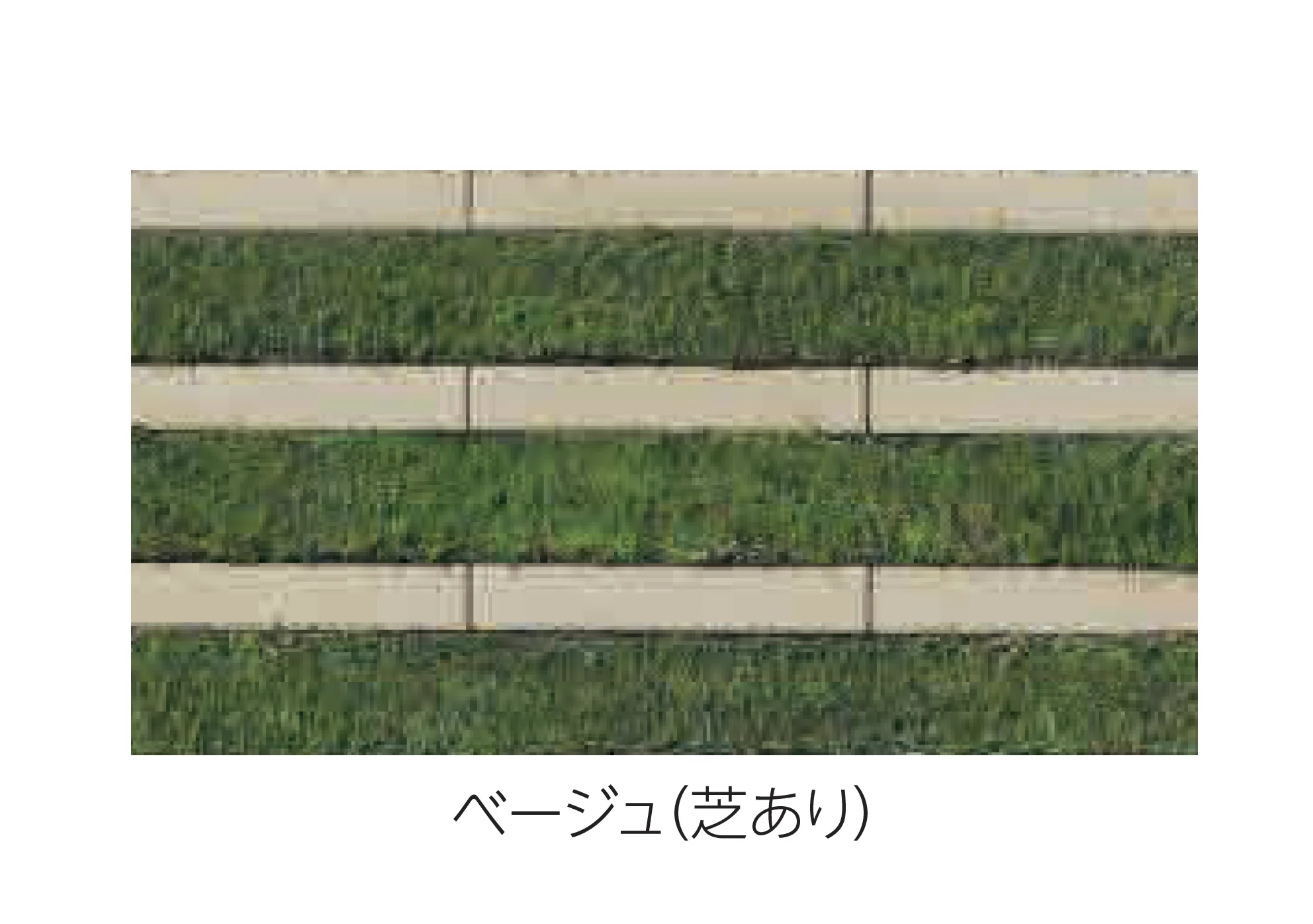 エスビックの「リビオ[ai]緑化80」のサブ画像3