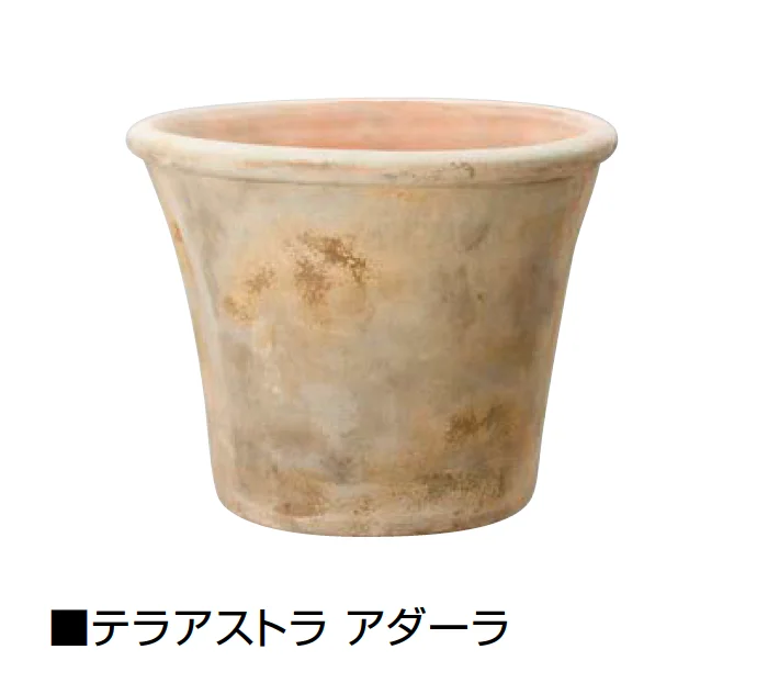 オンリーワンクラブの「テラアストラ」のサブ画像9