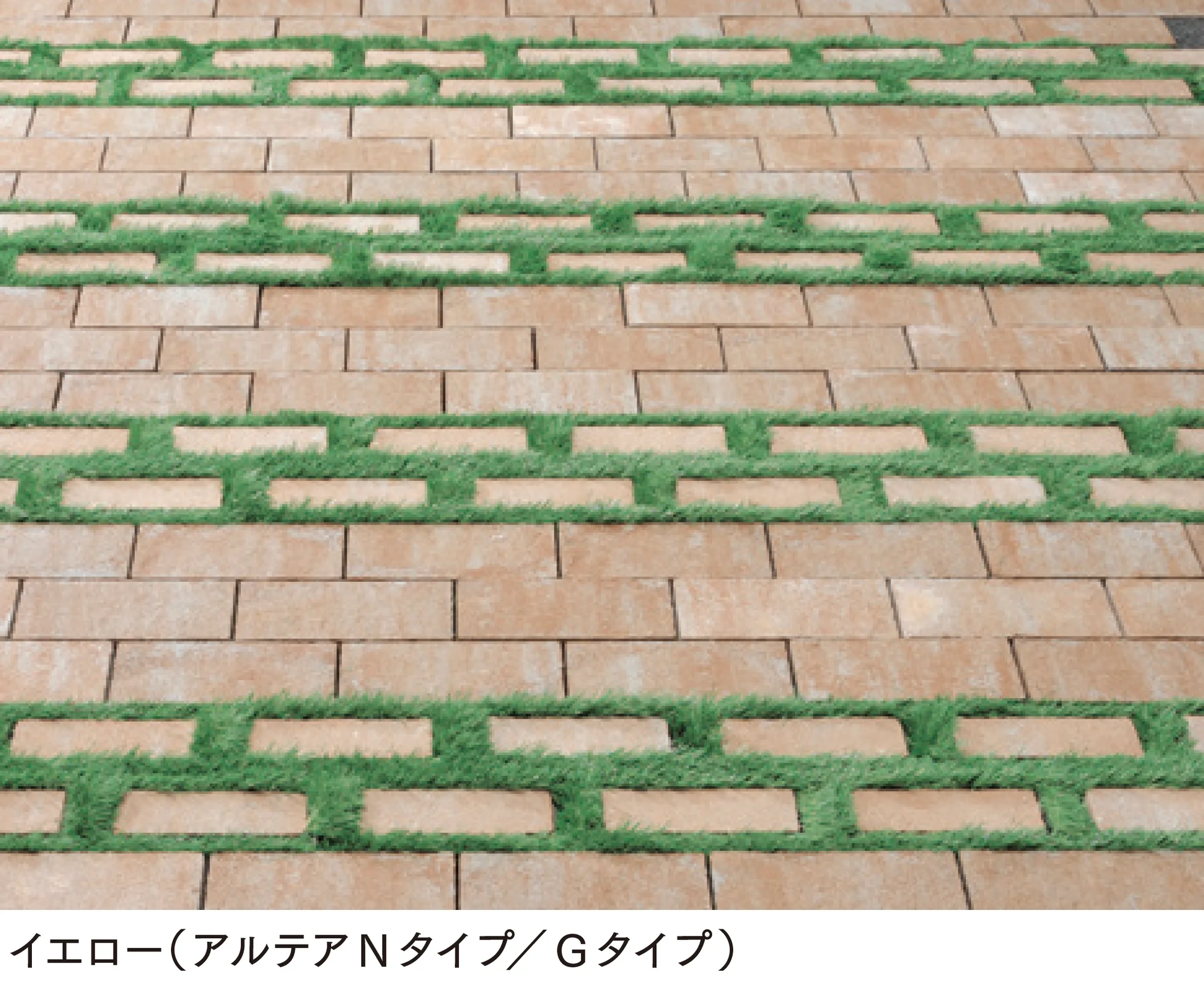 マチダコーポレーションの「アルテア Gタイプ」のサブ画像2