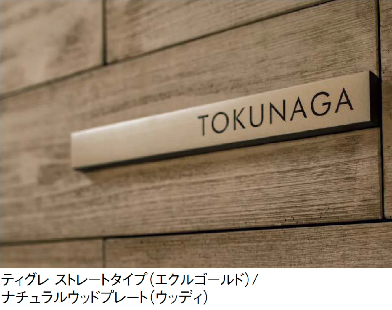 東洋工業の「ティグレ【2025年版】」のサブ画像1