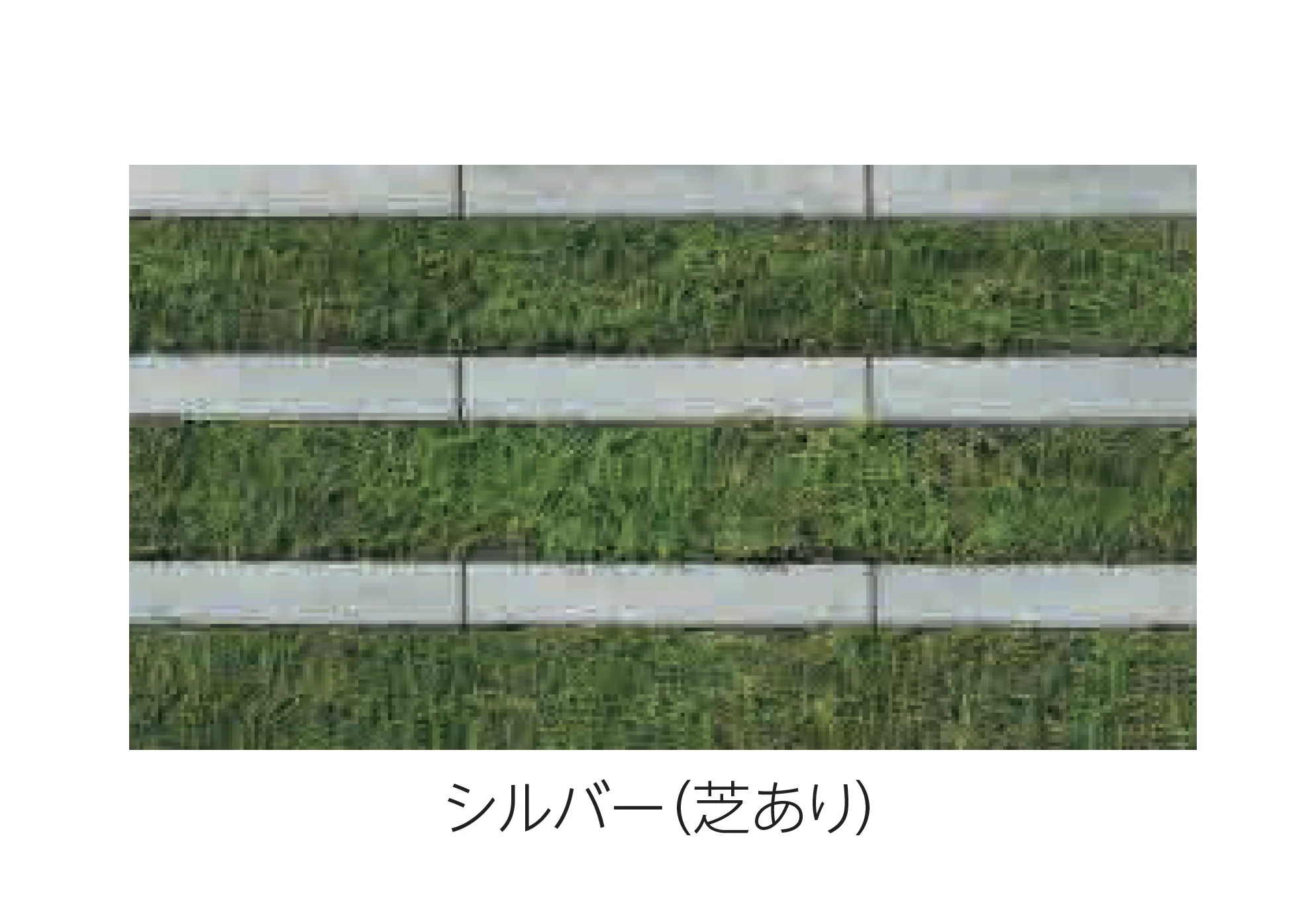 エスビックの「リビオ[ai]緑化80」のサブ画像2