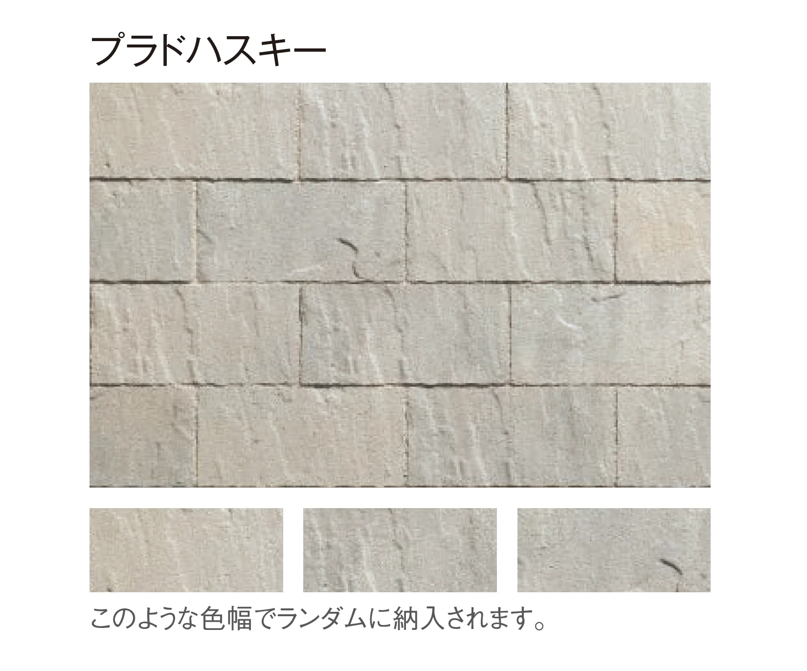 東洋工業の「プラーガブリック」のサブ画像8