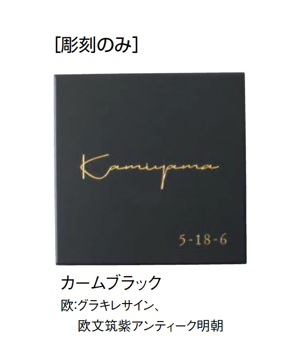 東洋工業の「ソプラ」のサブ画像4
