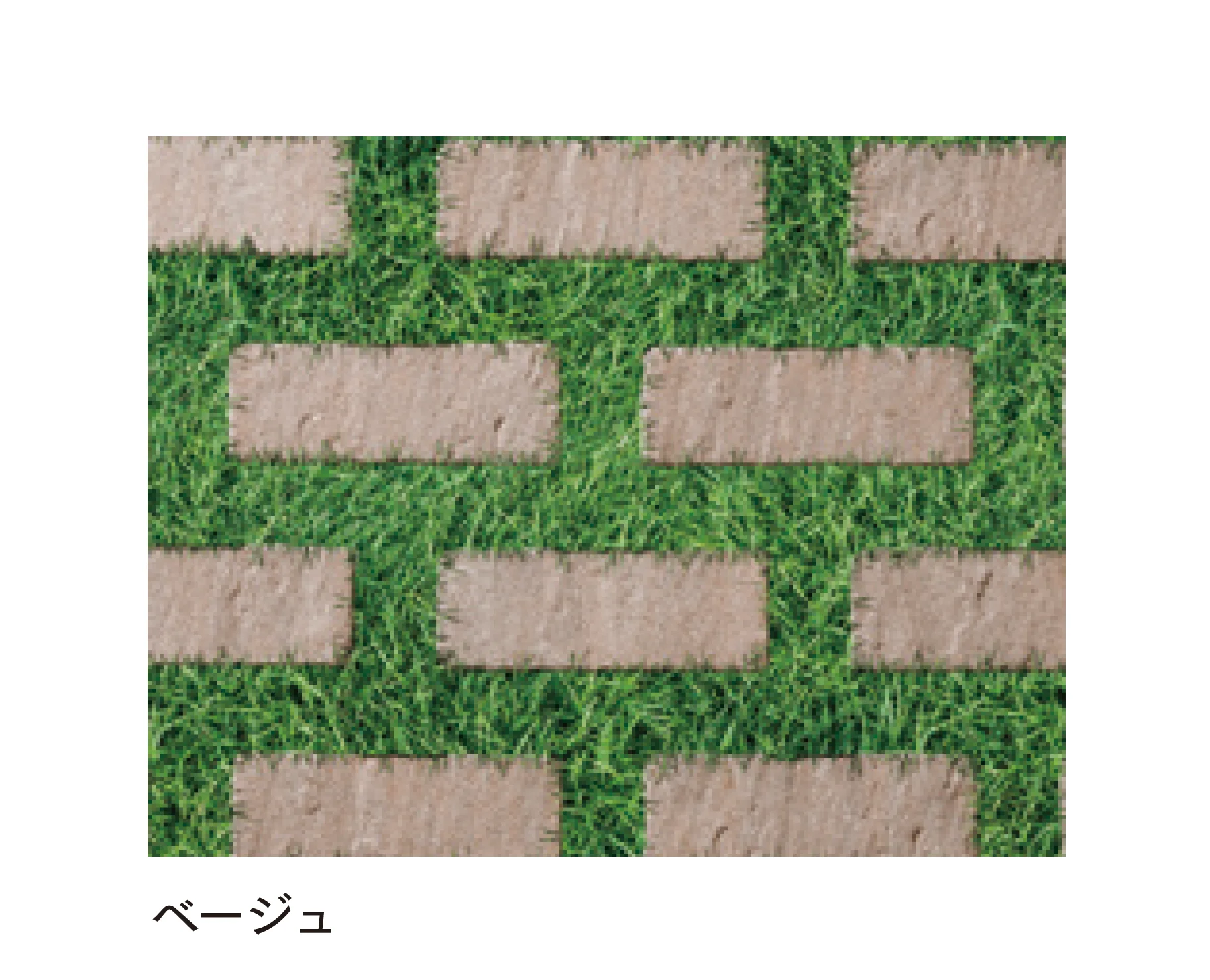 マチダコーポレーションの「アルテア Gタイプ」のサブ画像6