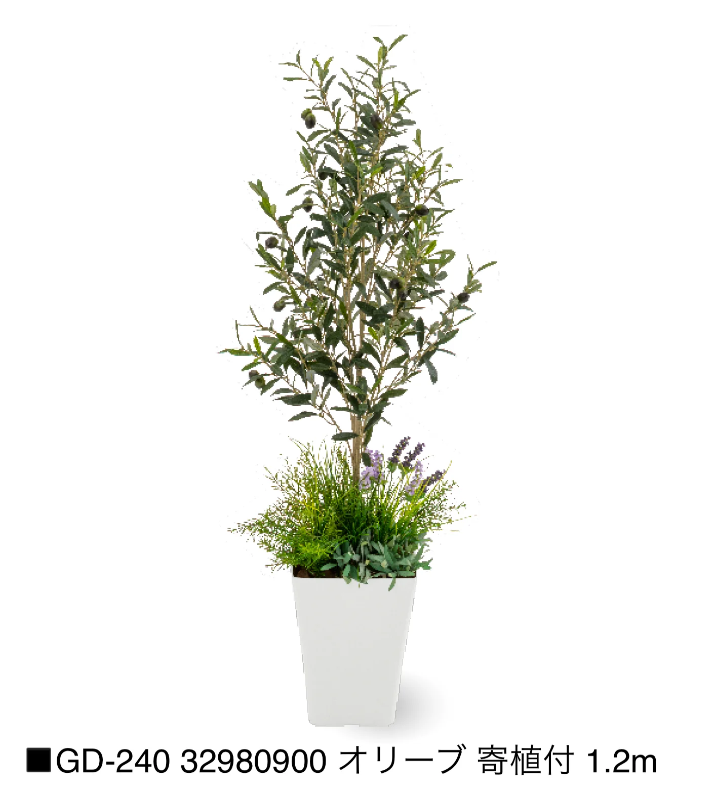 タカショーの「観葉植物【2025年版】」のサブ画像19