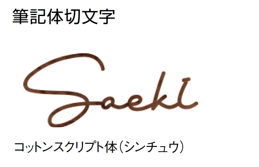 東洋工業の「コルテグランデ エイジ」のサブ画像2