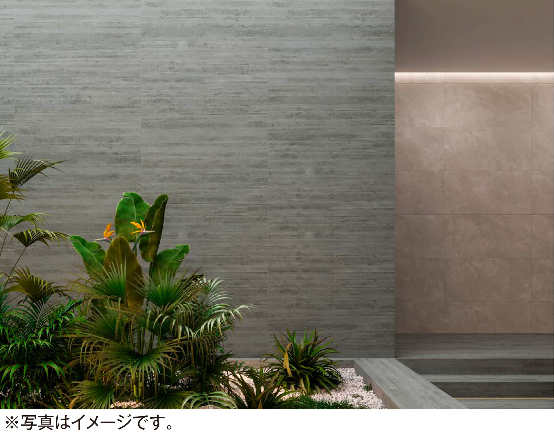 エクシスランドの「カッサフォーマ」のサブ画像1