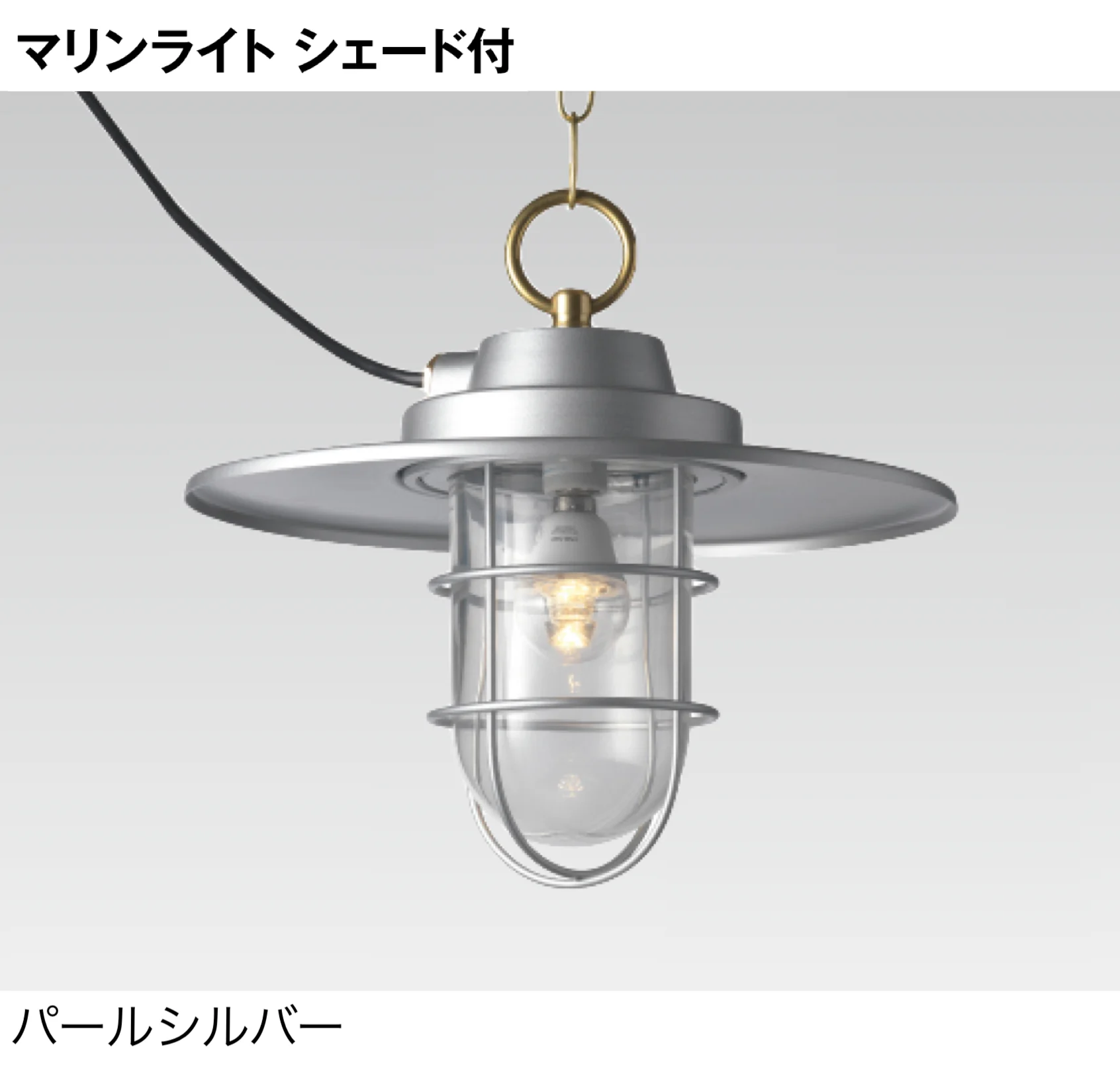 タカショーの「マリンライト ペンダントタイプ【2025年版】」