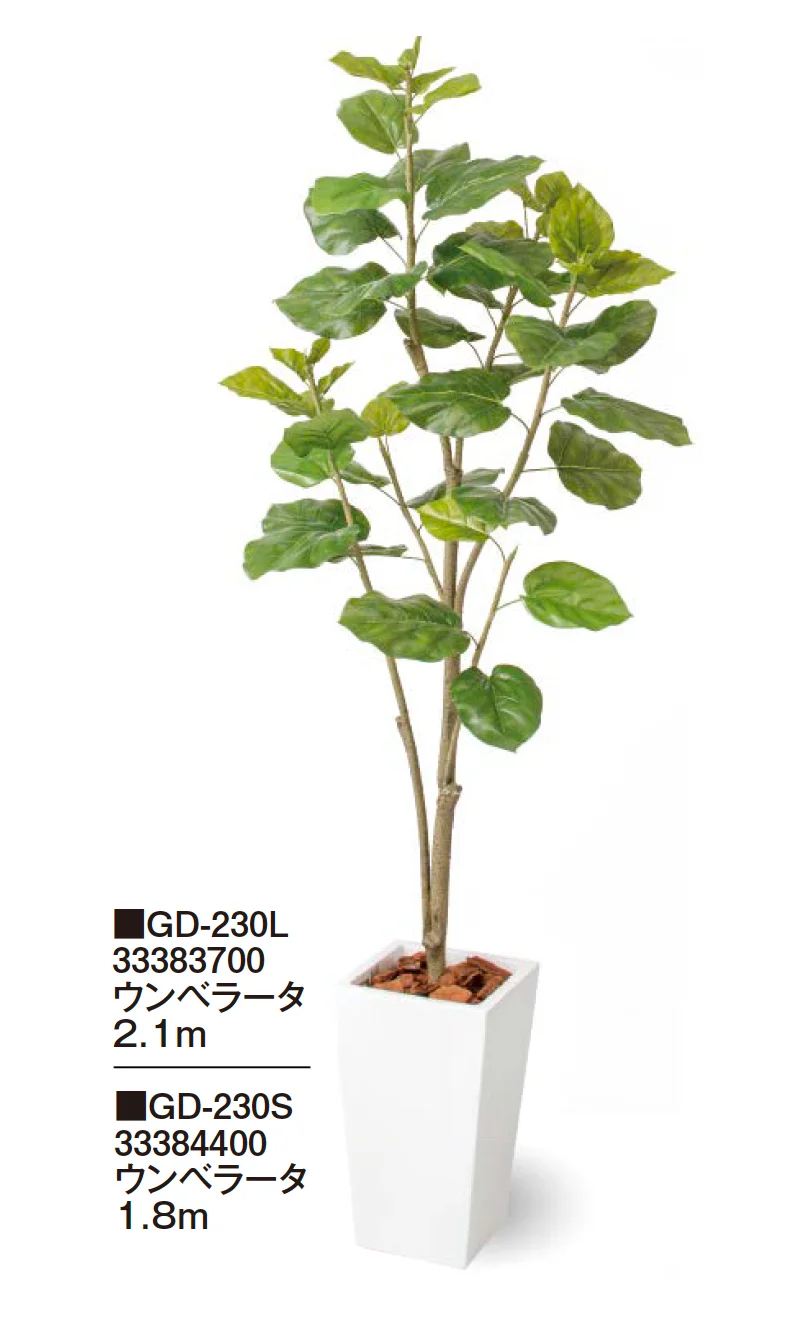タカショーの「観葉植物【2024年版】」のサブ画像6