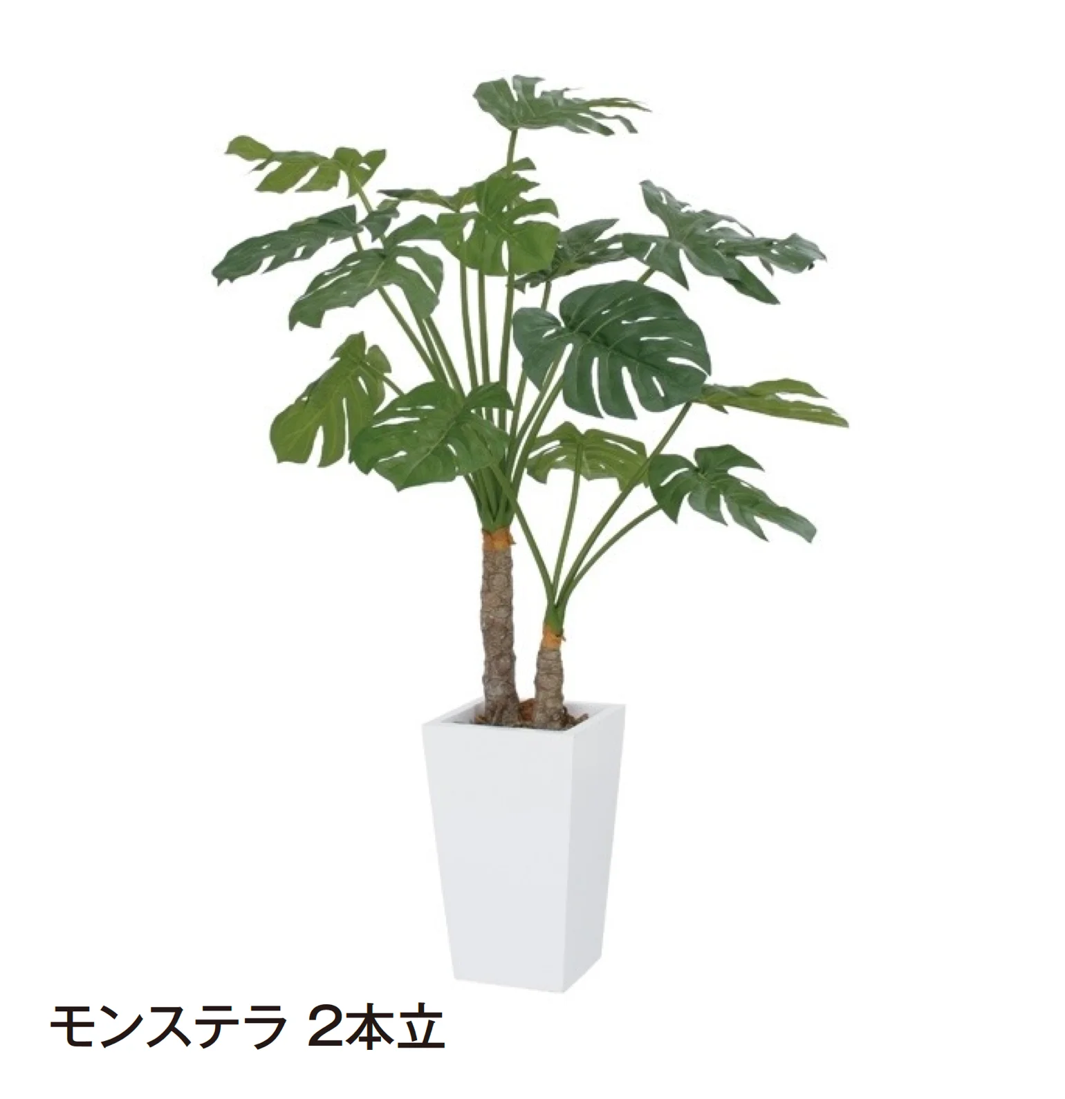 タカショーの「観葉植物」のサブ画像8