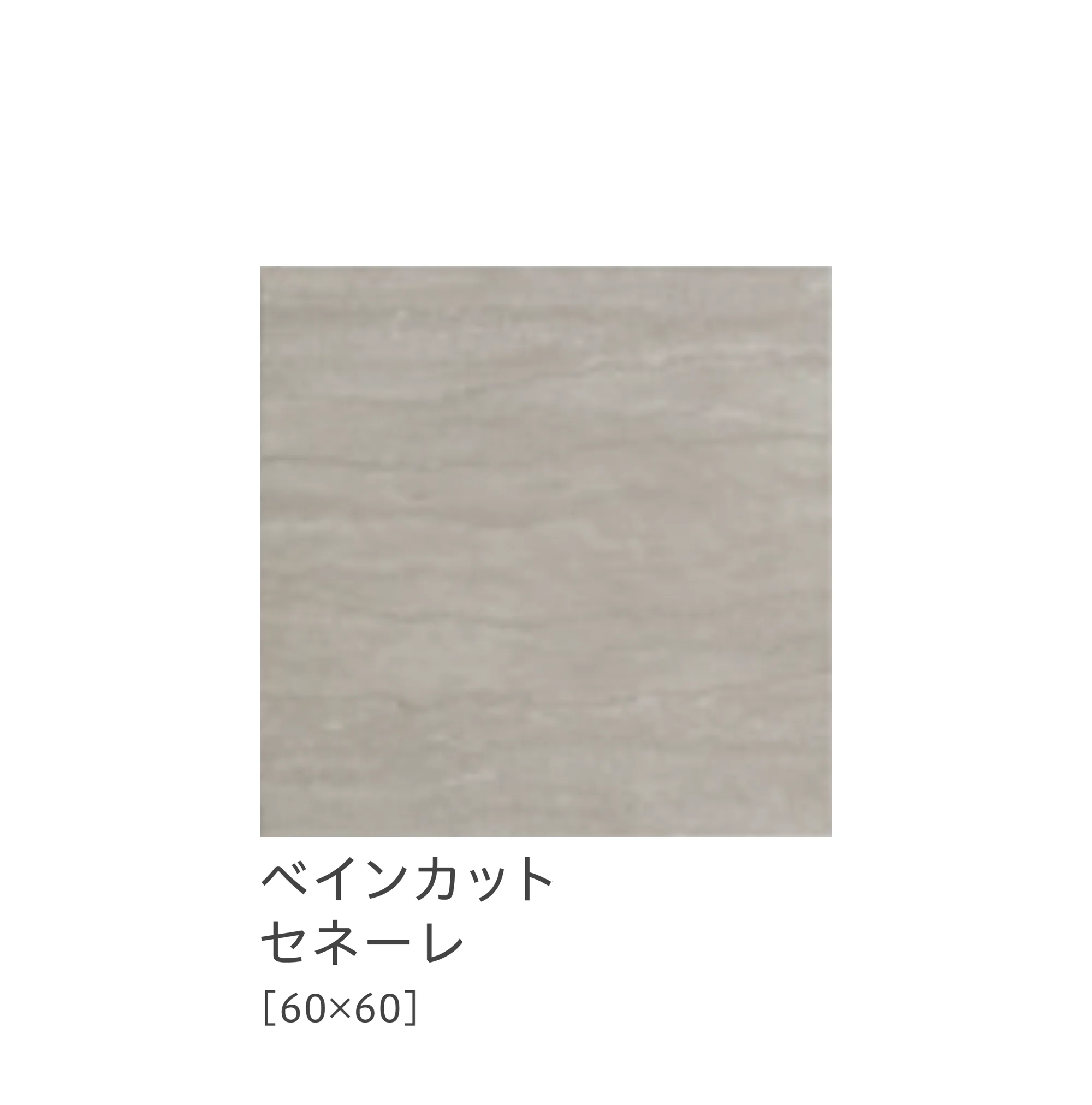 リビエラの「ドルセット」のサブ画像7