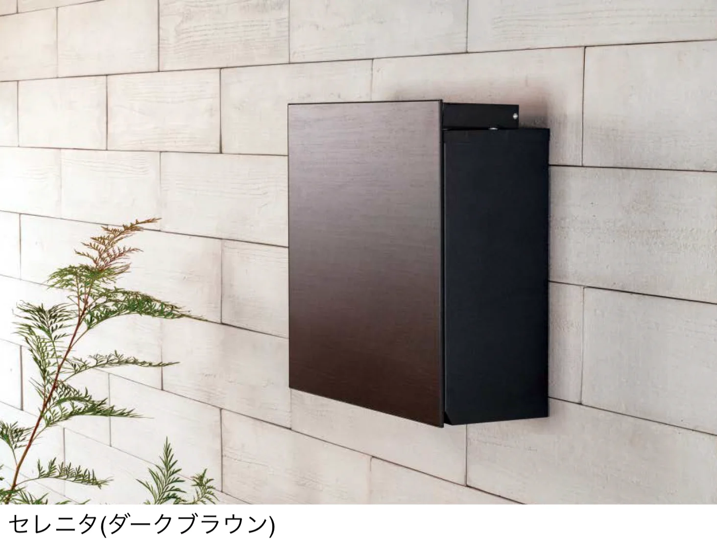 東洋工業の「セレニタ」