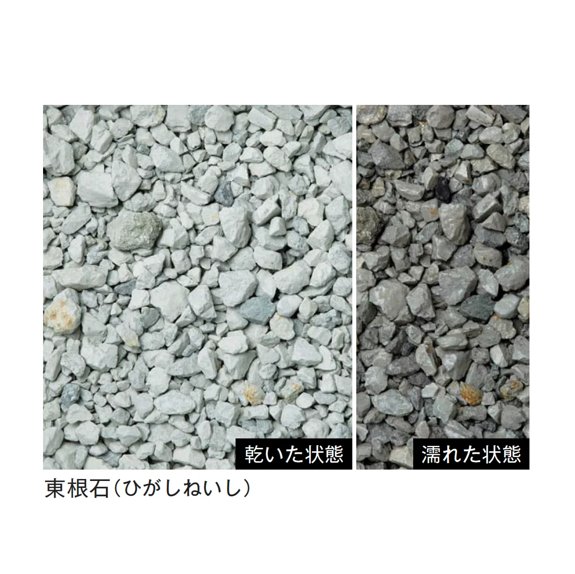 メイクランドの「トンパック」のサブ画像12