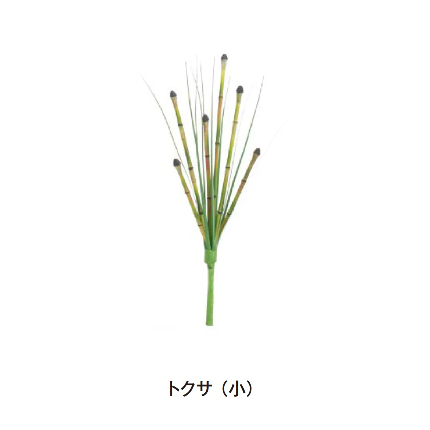 タカショーの「グランドカバー 下草」のサブ画像15