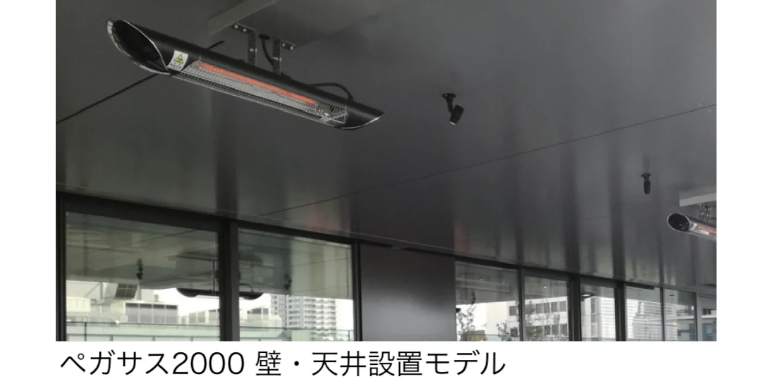 ギャザーの「ペガサス」のサブ画像4