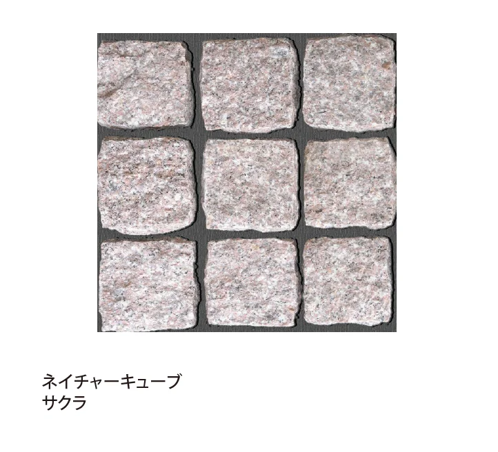 EXDECOの「ネイチャーキューブ【関東版】」のサブ画像3