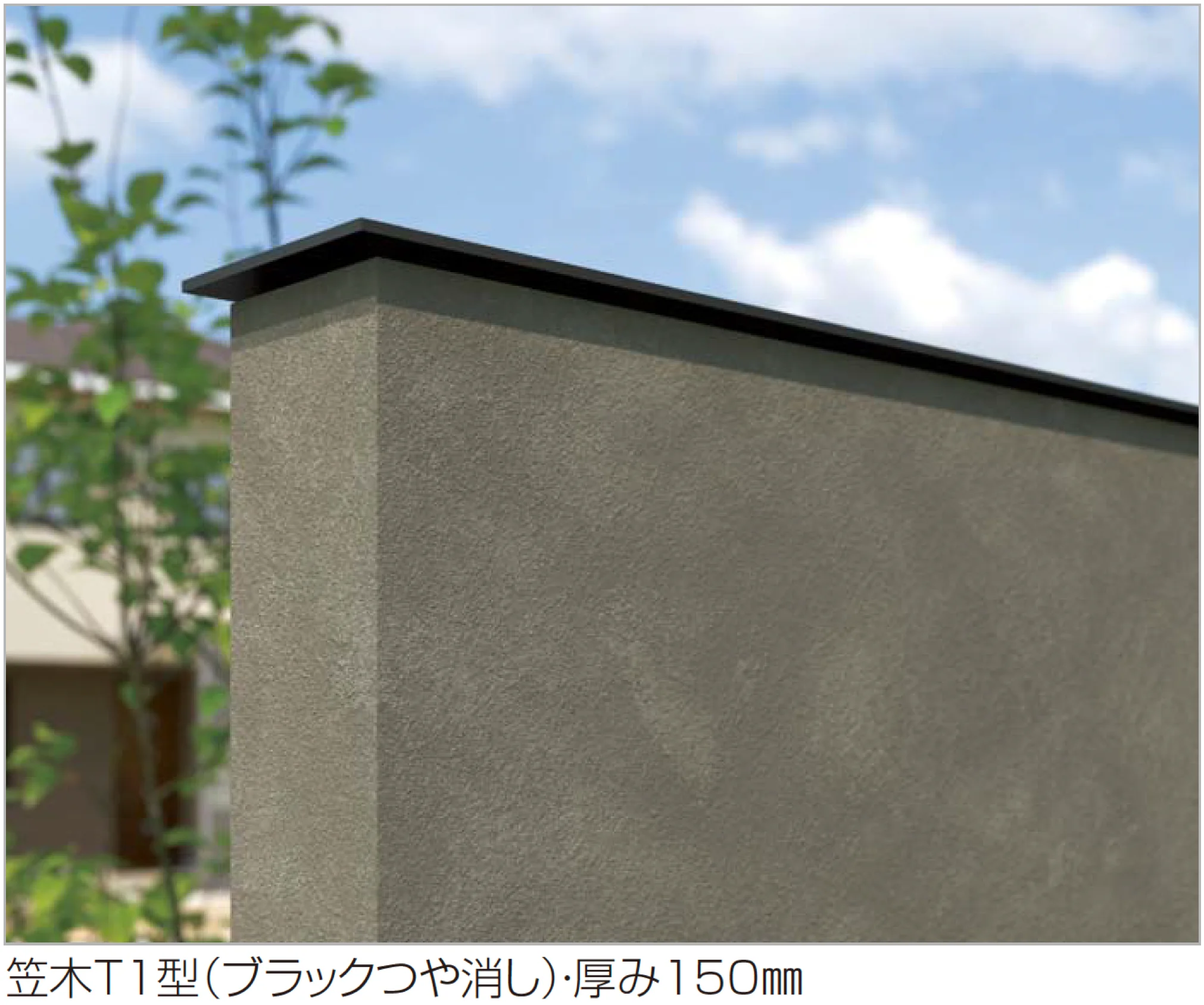 四国化成の「アートウォールseed」のサブ画像2