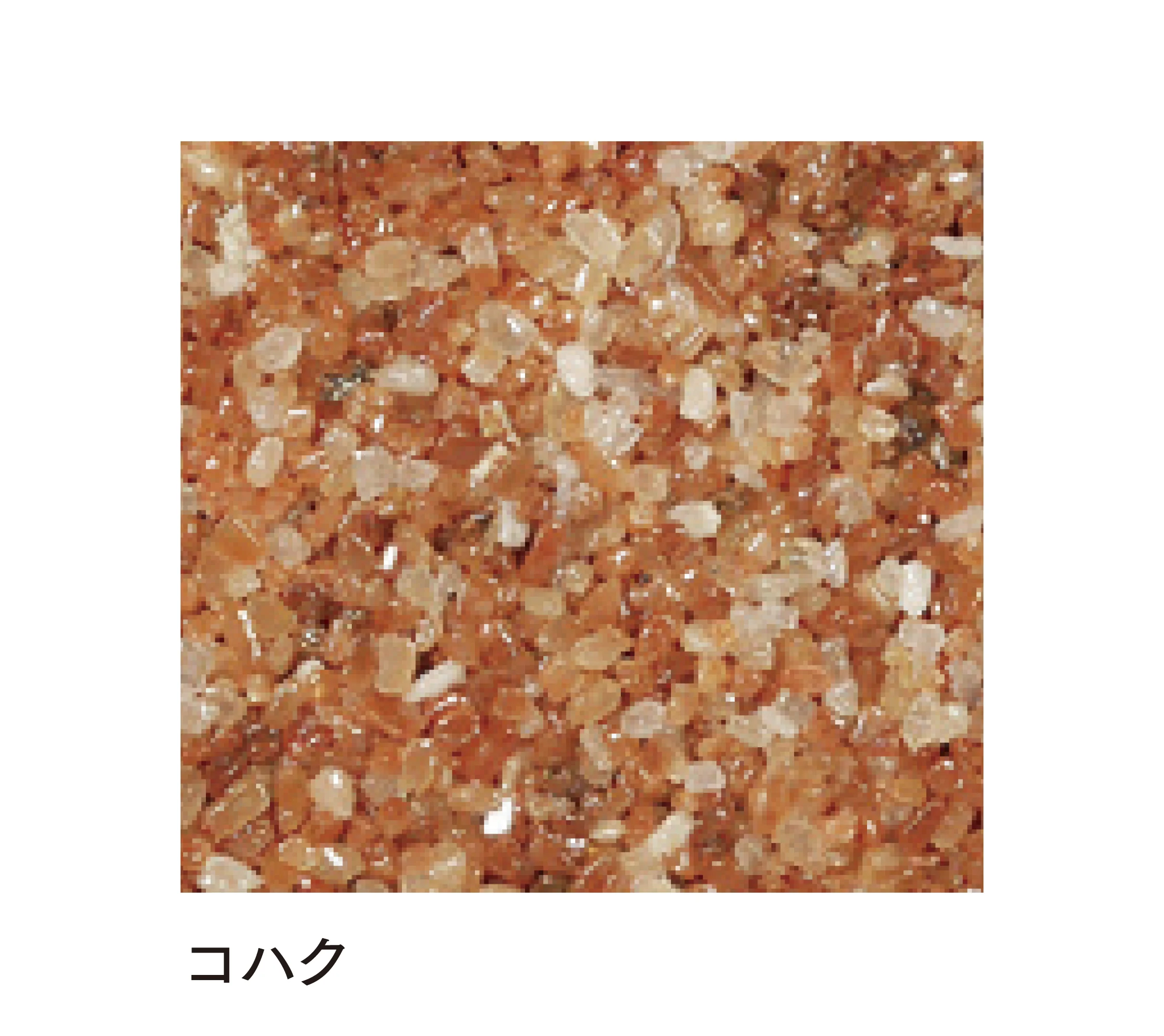 マチダコーポレーションの「ファンシアプラス」のサブ画像4