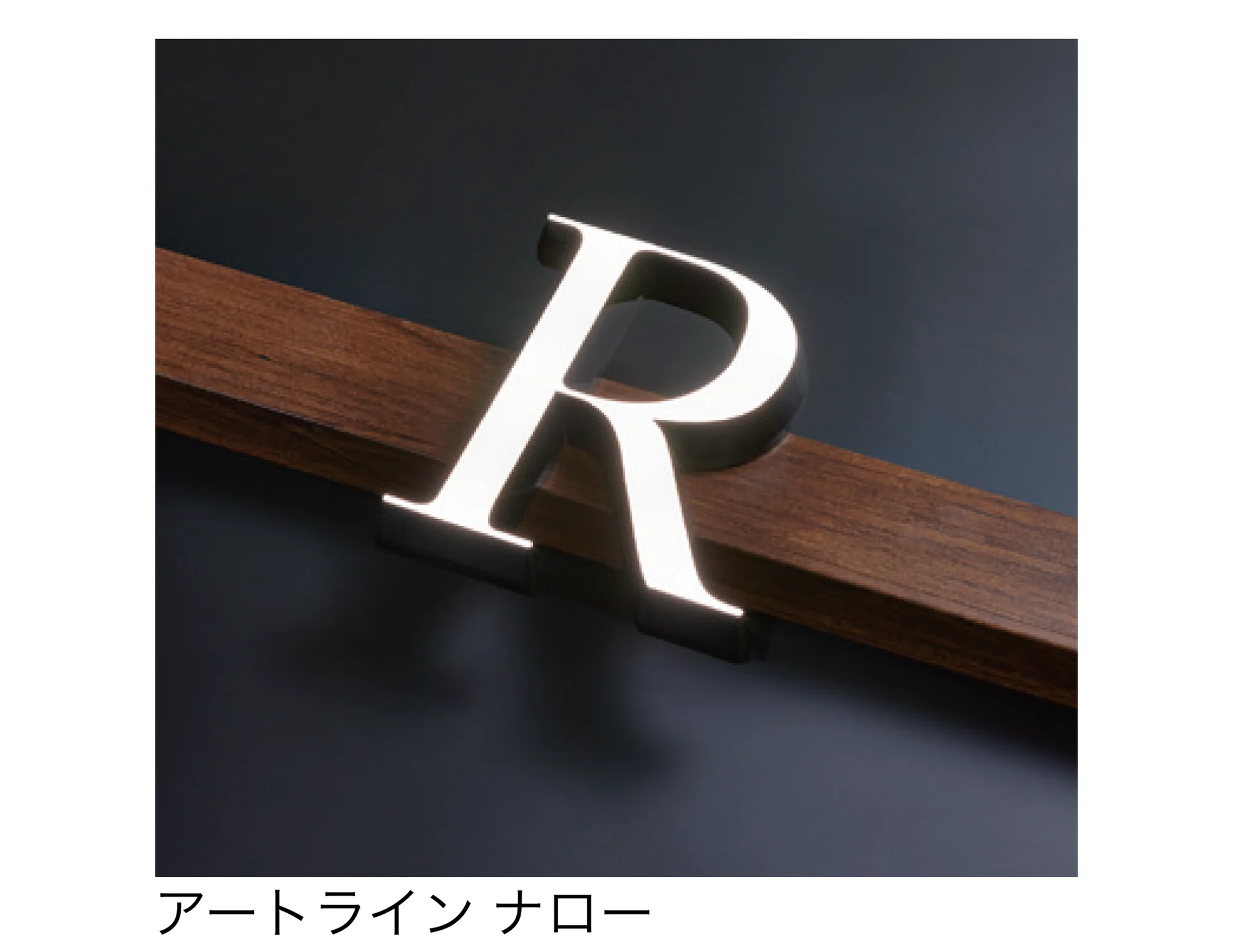 タカショーの「デジテックサイン アートライン」のサブ画像4