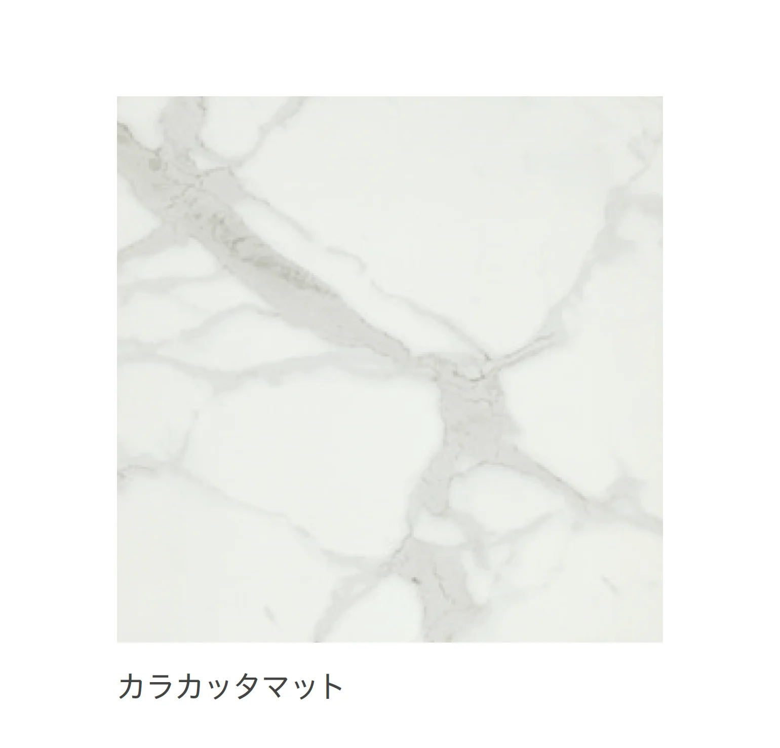 リビエラの「ルクシア」のサブ画像13