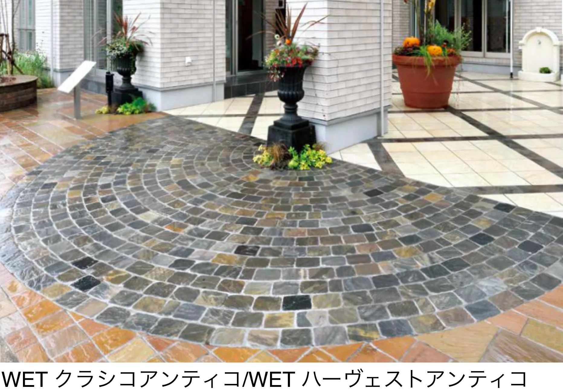 オンリーワンクラブの「アンティコ シリーズ」のサブ画像3