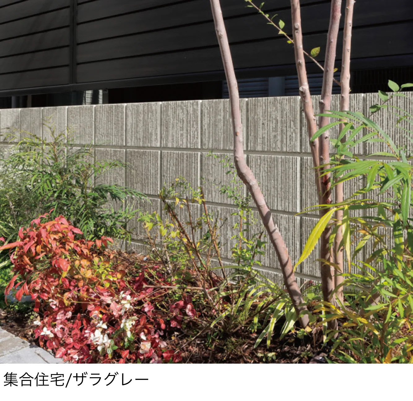 ユニソンの「エリダ®︎」