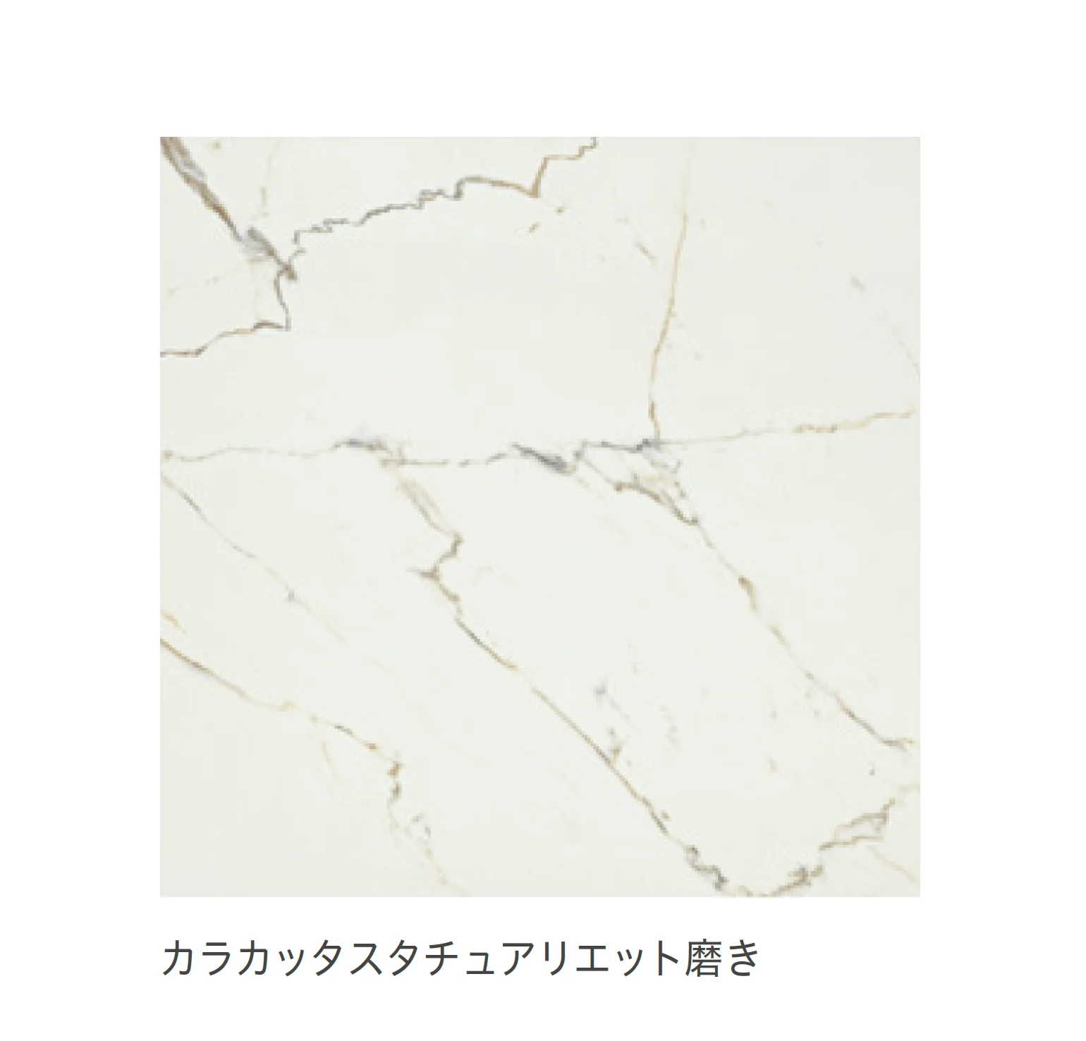 リビエラの「ルクシア」のサブ画像7