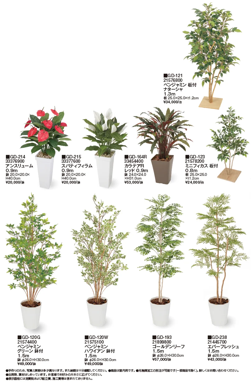 観葉植物【2024年版】_価格_4