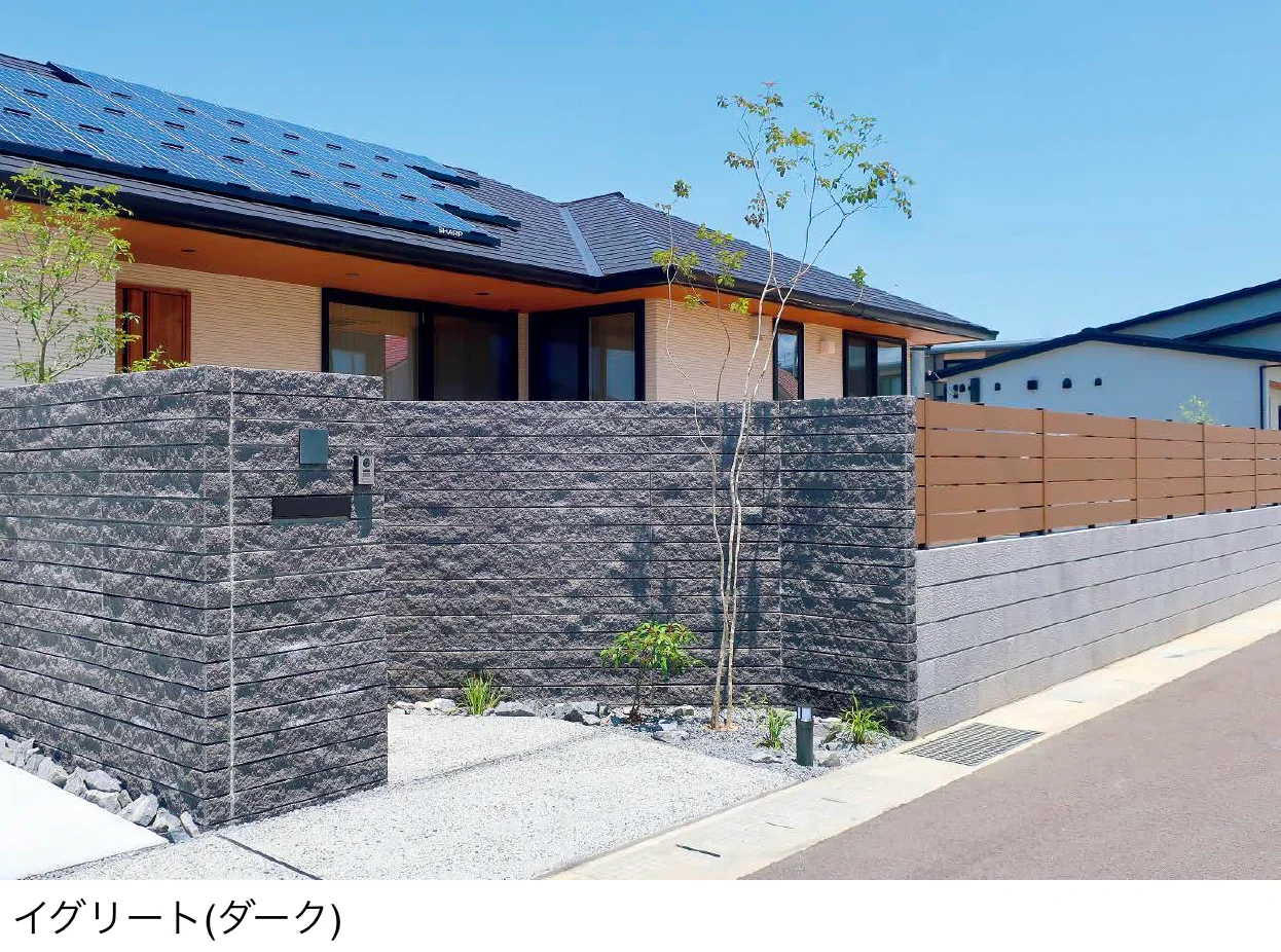 東洋工業の「イグリート」のサブ画像1