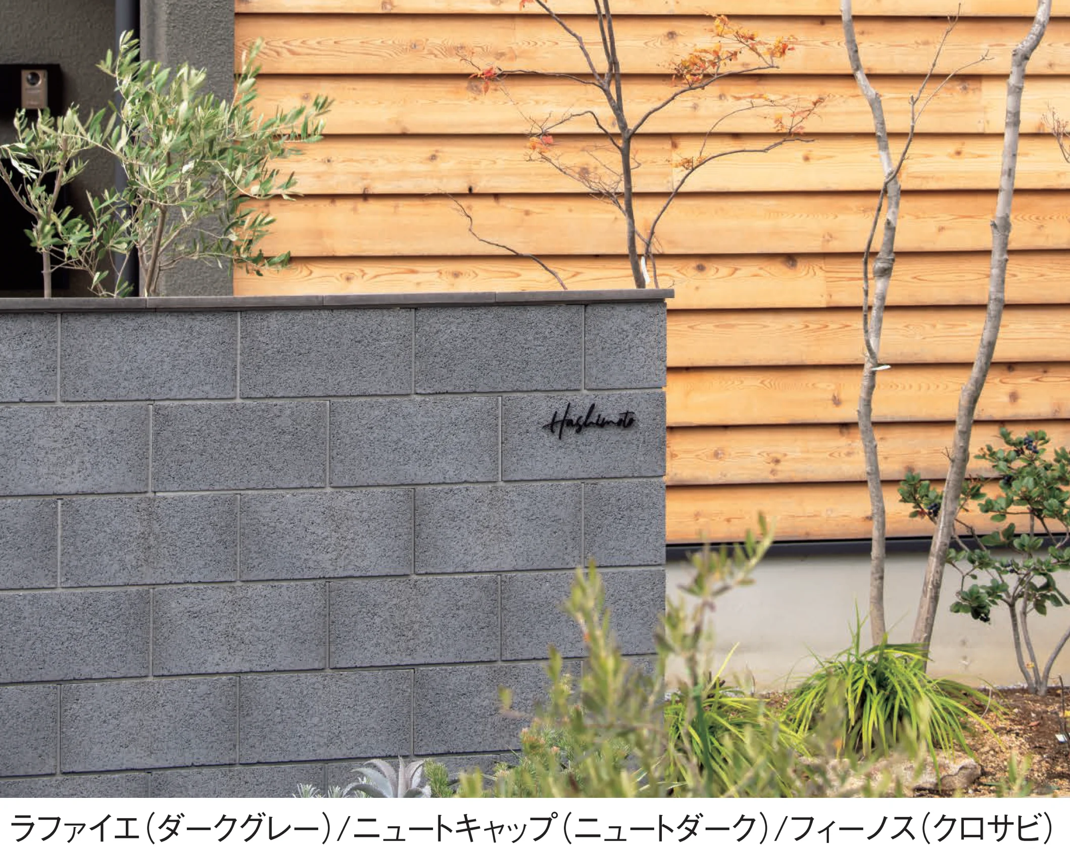 東洋工業の「ラファイエ」のサブ画像1