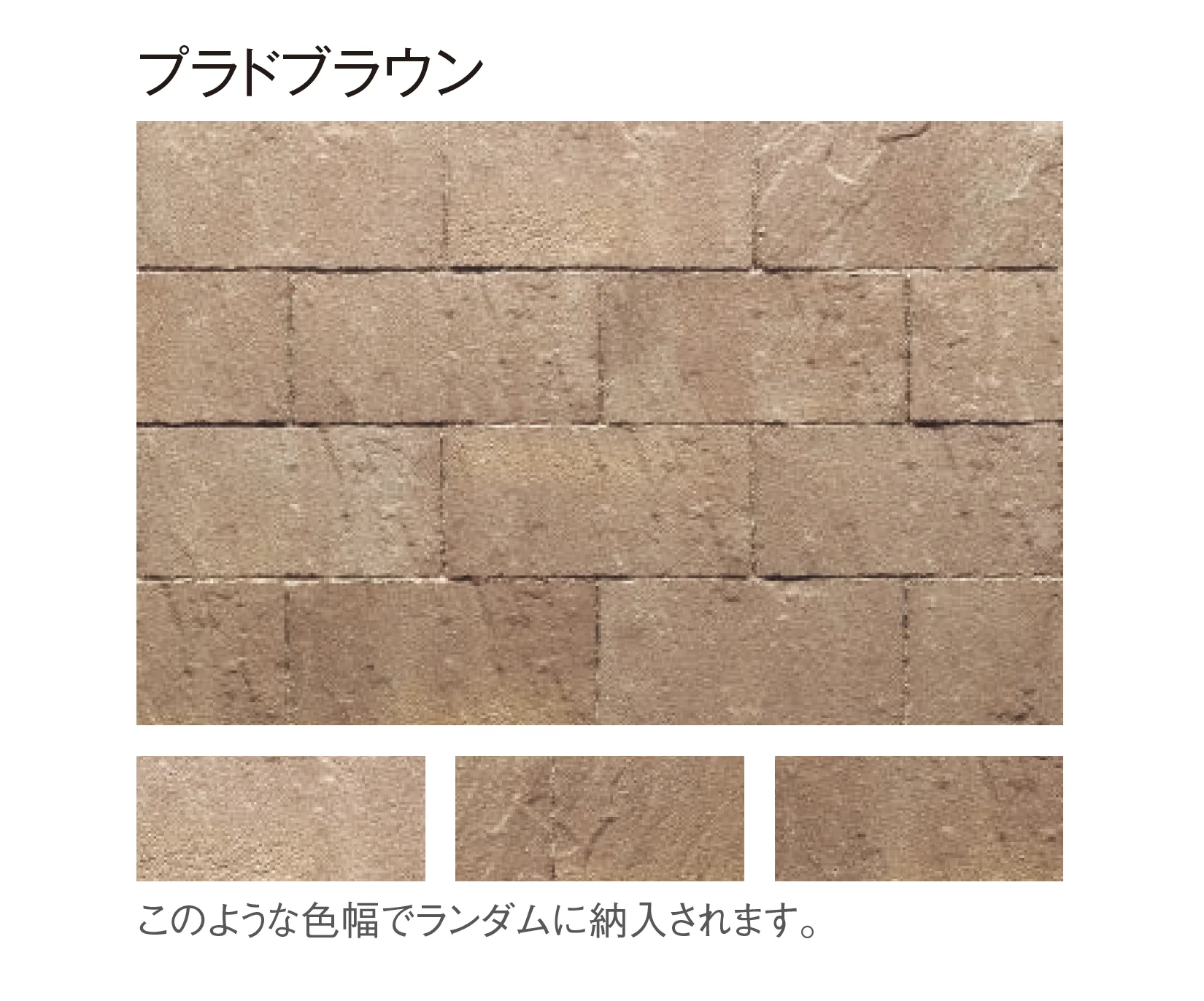 東洋工業の「プラーガブリック」のサブ画像4