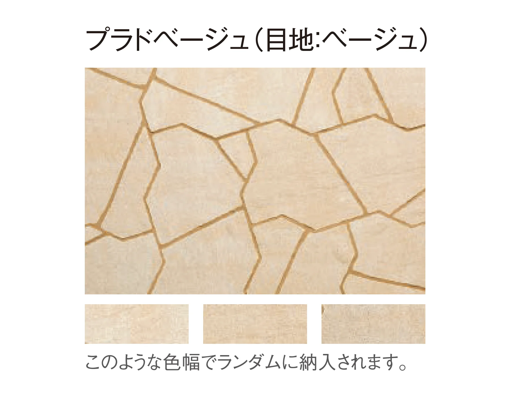 東洋工業の「プラーガストーン」のサブ画像5