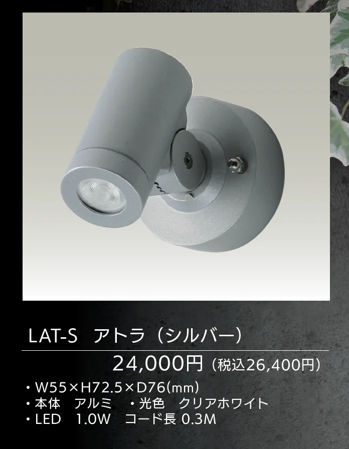 アトラ【2025年版】【廃番】_価格_1