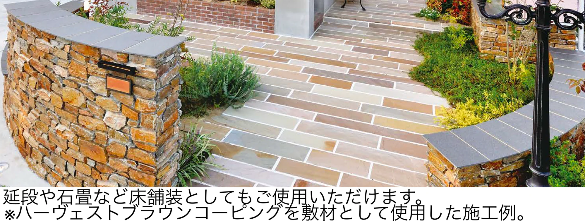 オンリーワンクラブの「ハーヴェストブラウン」のサブ画像5