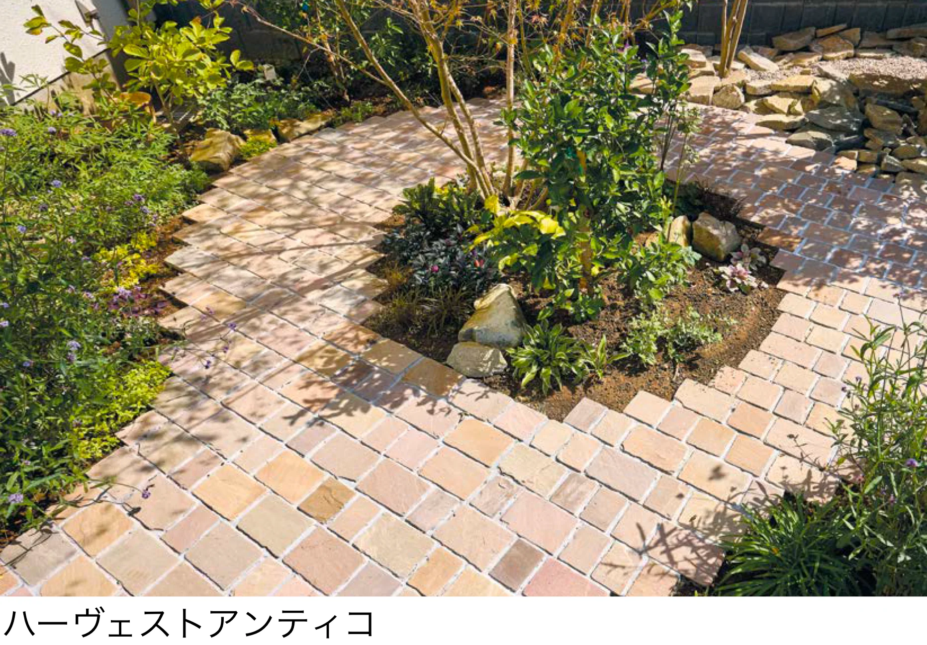 オンリーワンクラブの「アンティコ シリーズ」のサブ画像1