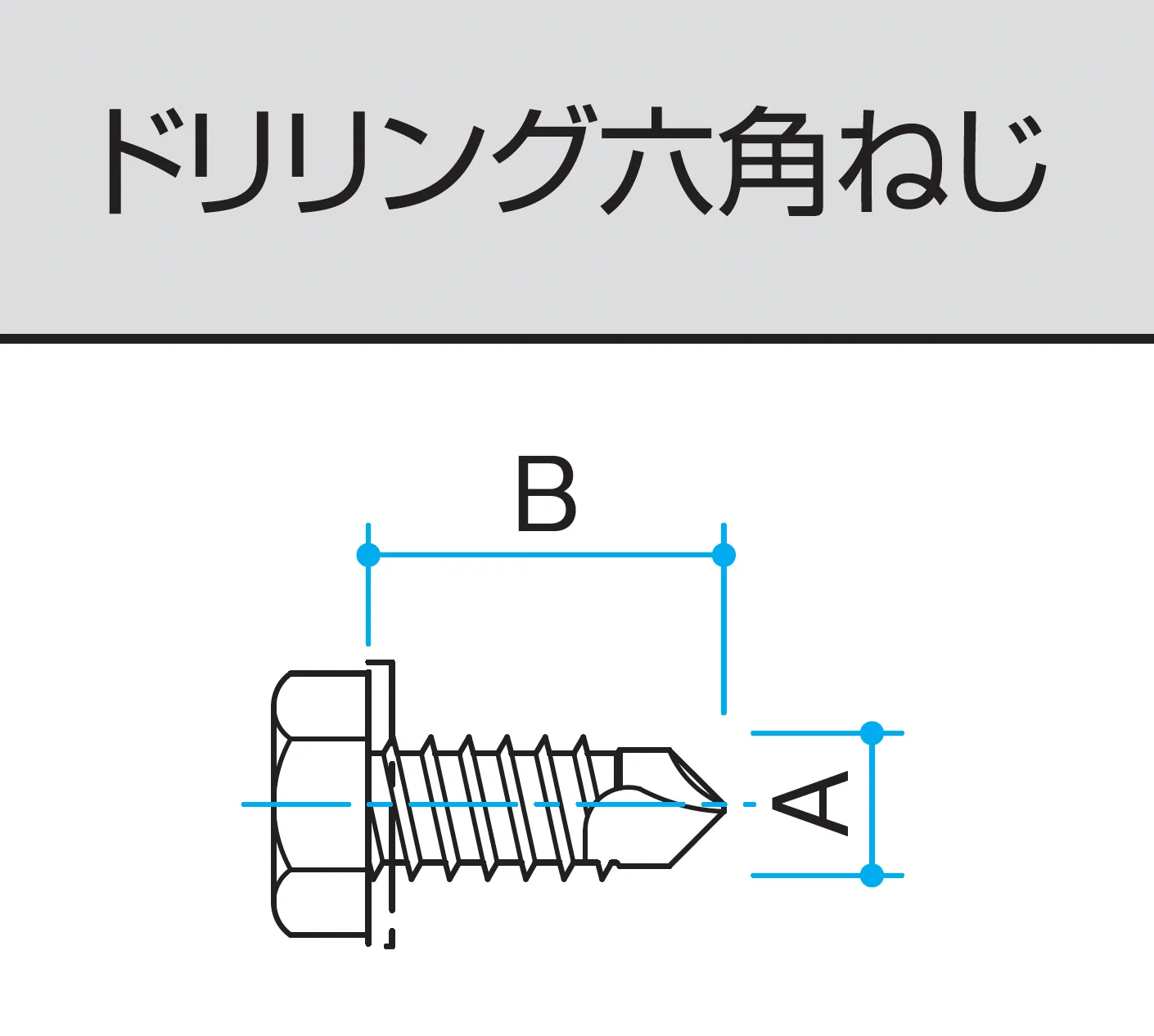 三協アルミの「ねじセット【α-Pro アルファプロ】【2025年版】」のサブ画像8