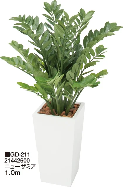 タカショーの「観葉植物【2024年版】」のサブ画像12