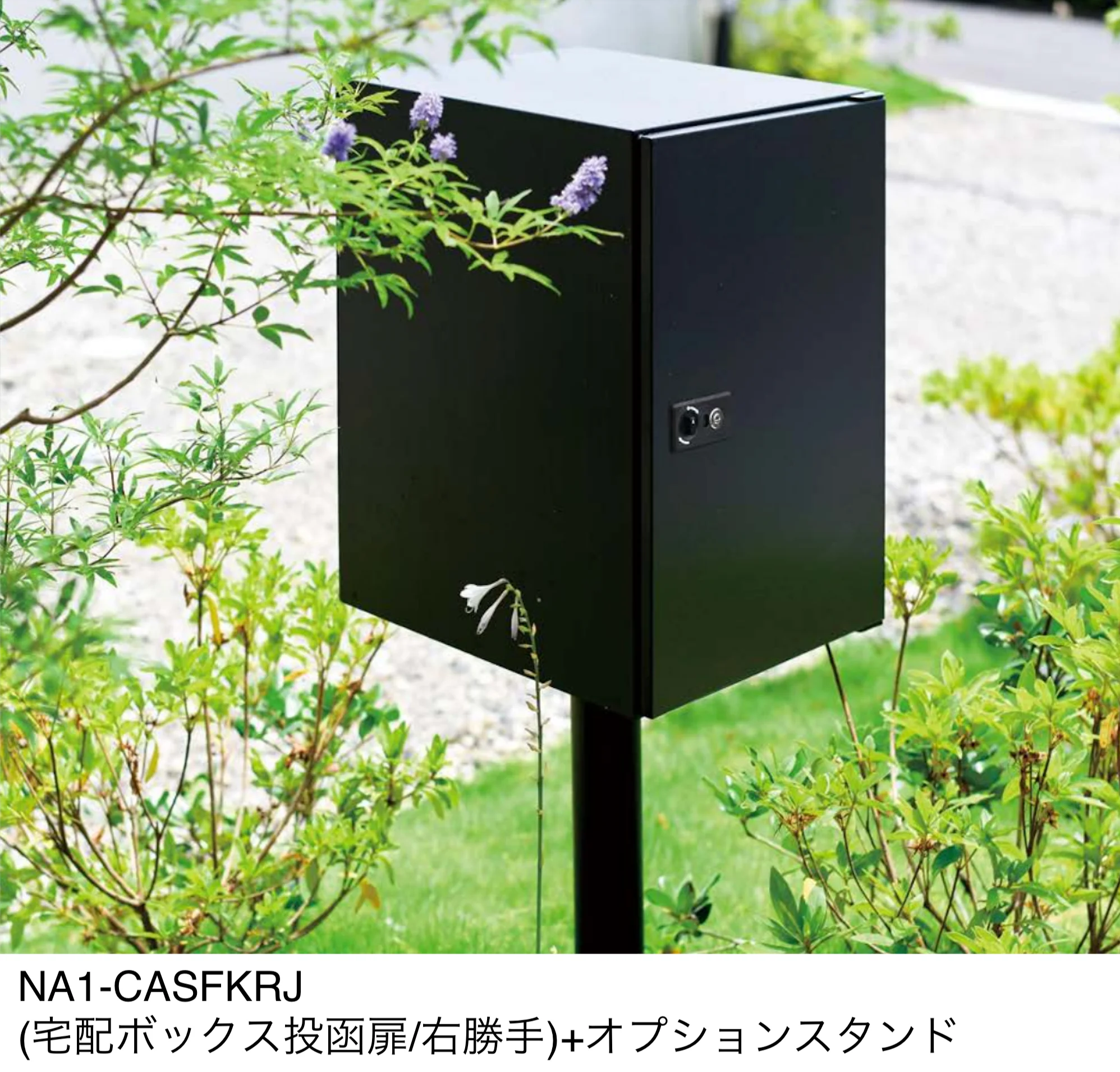 オンリーワンクラブの「キャス」