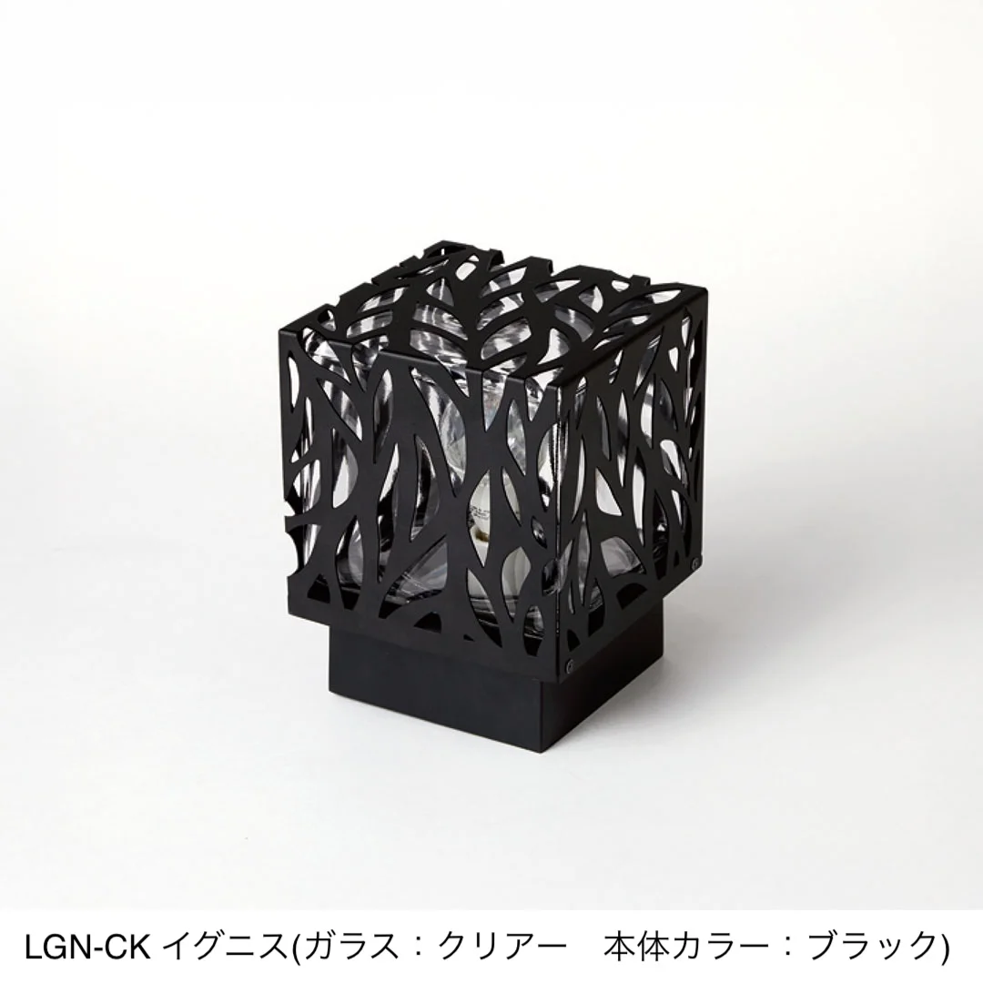 福彫の「イグニス」のサブ画像3