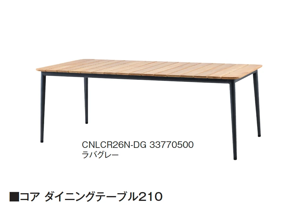 タカショーの「コア」のサブ画像3