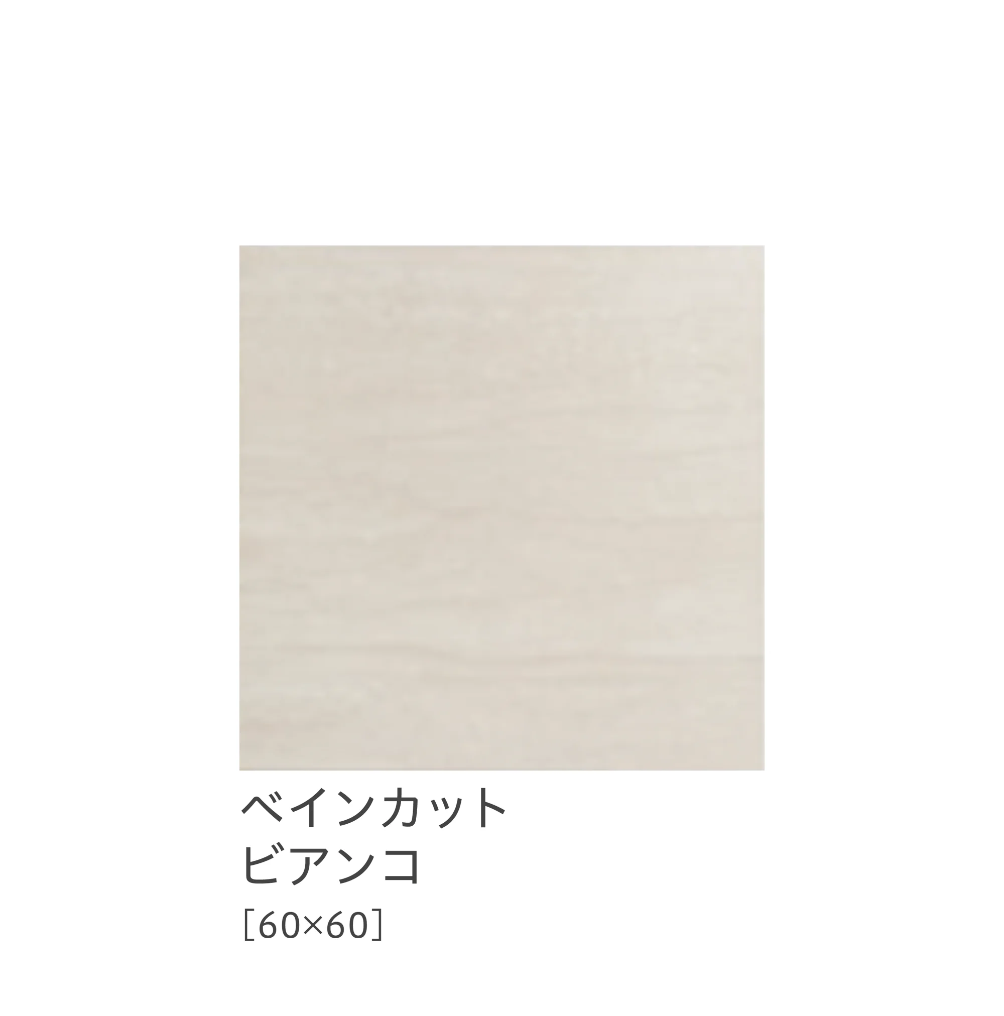 リビエラの「ドルセット」のサブ画像4